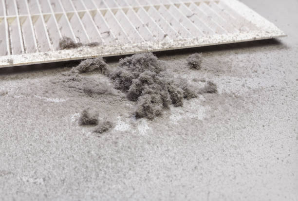 Best Ductwork Cleaning Services  in Guttenberg, IA