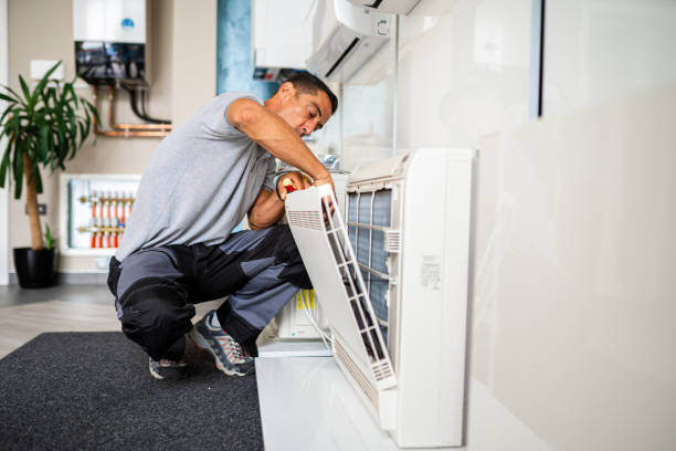 Best Affordable Duct Cleaning Services  in Guttenberg, IA