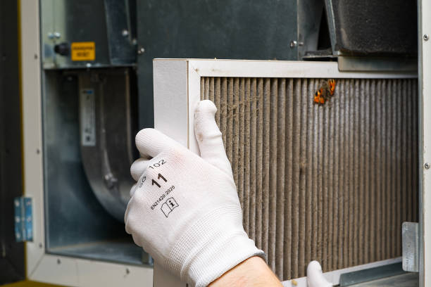 Best Emergency Air Duct Cleaning  in Guttenberg, IA